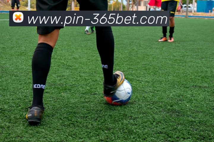 365bet平台生态图