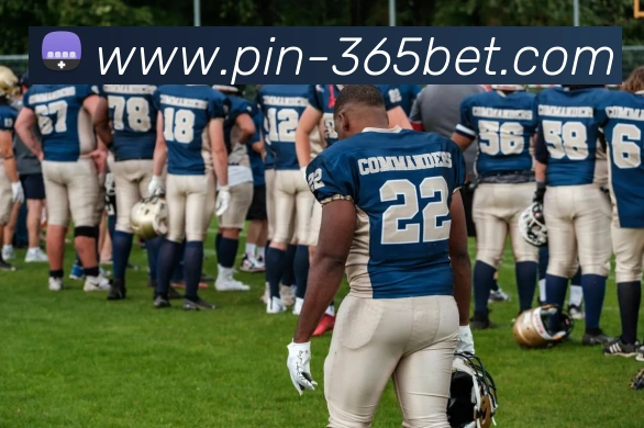 辅助工具 辅助工具